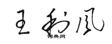 骆恒光王利风草书个性签名怎么写