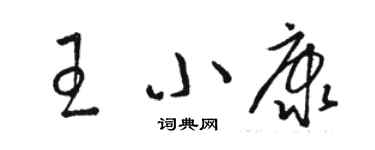 骆恒光王小康草书个性签名怎么写