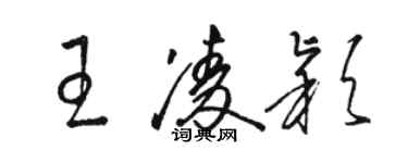 骆恒光王凌颖草书个性签名怎么写