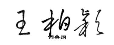 骆恒光王柏颖草书个性签名怎么写