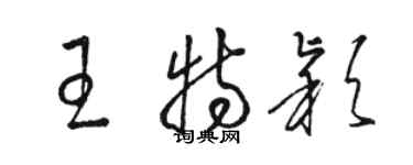 骆恒光王特颖草书个性签名怎么写