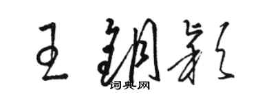 骆恒光王钥颖草书个性签名怎么写