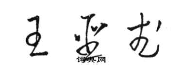 骆恒光王圣武草书个性签名怎么写
