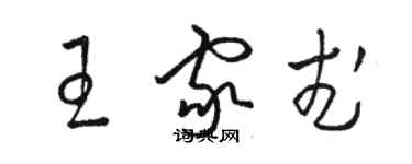 骆恒光王家武草书个性签名怎么写