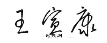 骆恒光王宣康草书个性签名怎么写