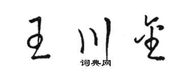 骆恒光王川金草书个性签名怎么写