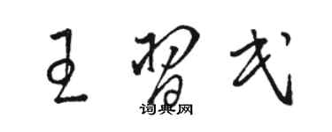 骆恒光王习民草书个性签名怎么写