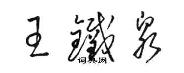 骆恒光王铁泉草书个性签名怎么写
