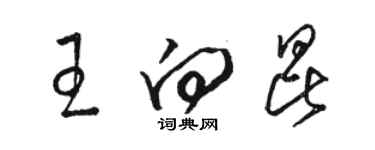 骆恒光王向昆草书个性签名怎么写