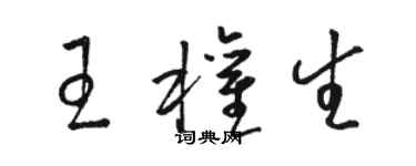 骆恒光王权生草书个性签名怎么写