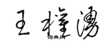 骆恒光王权涌草书个性签名怎么写