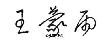 骆恒光王蒙雨草书个性签名怎么写