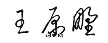 骆恒光王原野草书个性签名怎么写