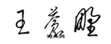 骆恒光王苍野草书个性签名怎么写