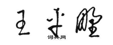 骆恒光王平野草书个性签名怎么写