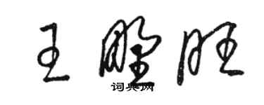 骆恒光王野旺草书个性签名怎么写