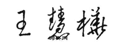 骆恒光王慧桦草书个性签名怎么写
