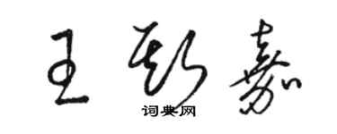 骆恒光王斯嘉草书个性签名怎么写