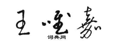 骆恒光王唯嘉草书个性签名怎么写