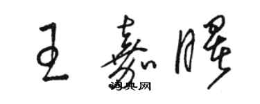骆恒光王嘉曙草书个性签名怎么写