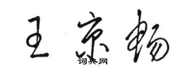 骆恒光王京畅草书个性签名怎么写