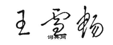 骆恒光王雪畅草书个性签名怎么写