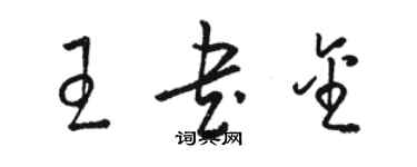 骆恒光王书金草书个性签名怎么写