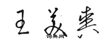 骆恒光王美爽草书个性签名怎么写