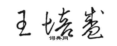 骆恒光王培盛草书个性签名怎么写
