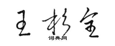 骆恒光王杉全草书个性签名怎么写