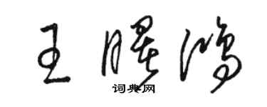 骆恒光王曙鸿草书个性签名怎么写