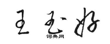骆恒光王玉好草书个性签名怎么写