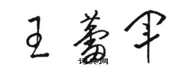 骆恒光王蕾军草书个性签名怎么写