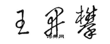 骆恒光王开攀草书个性签名怎么写