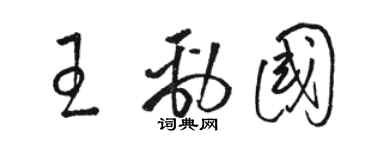 骆恒光王劲国草书个性签名怎么写
