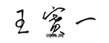 骆恒光王赛一草书个性签名怎么写