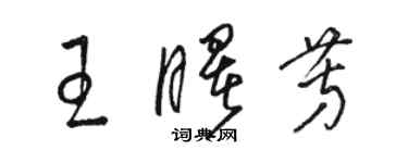 骆恒光王曙芳草书个性签名怎么写