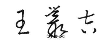 骆恒光王丛吉草书个性签名怎么写