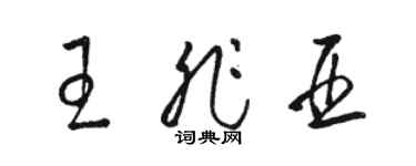 骆恒光王非亚草书个性签名怎么写