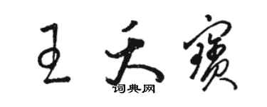 骆恒光王夭宝草书个性签名怎么写