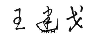 骆恒光王建戈草书个性签名怎么写
