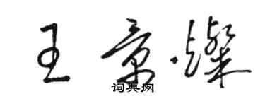骆恒光王景灿草书个性签名怎么写