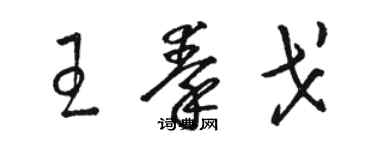 骆恒光王秦戈草书个性签名怎么写