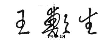 骆恒光王郑生草书个性签名怎么写