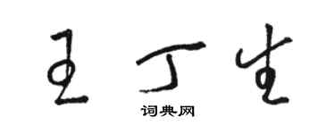骆恒光王丁生草书个性签名怎么写