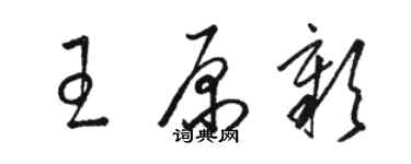 骆恒光王原彰草书个性签名怎么写