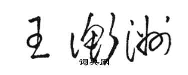 骆恒光王衡洲草书个性签名怎么写