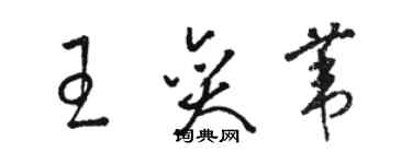 骆恒光王奕苇草书个性签名怎么写