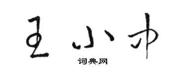 骆恒光王小中草书个性签名怎么写