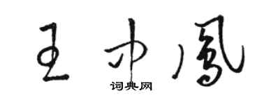 骆恒光王中凤草书个性签名怎么写